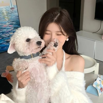 罗曼蒂克消亡史