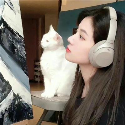 井盖儿
